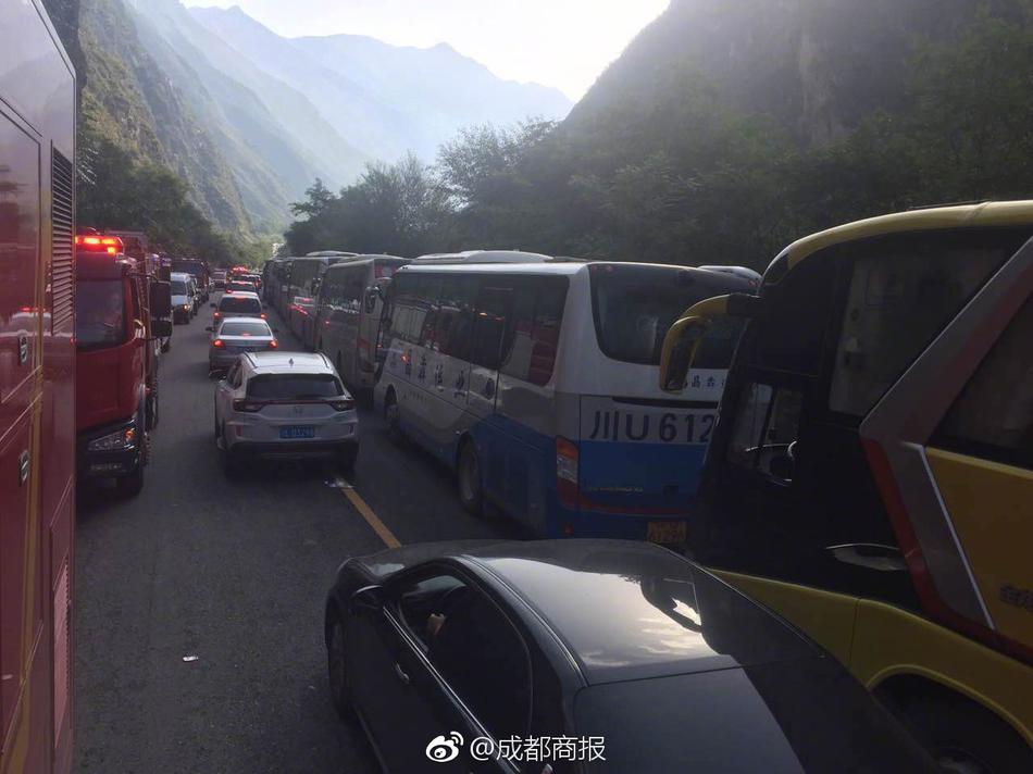 让我欣赏一下你的小森林