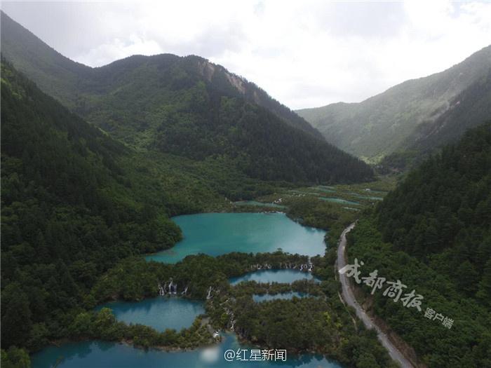 草莓视频黄片