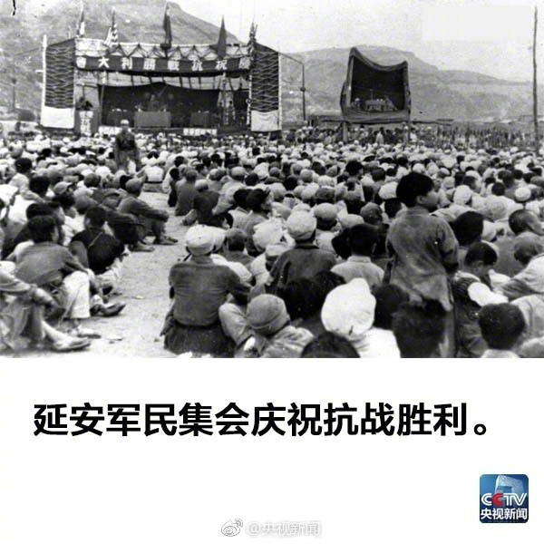 Free性暴力Ses野外Hd