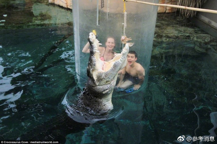 换妻游戏色情片