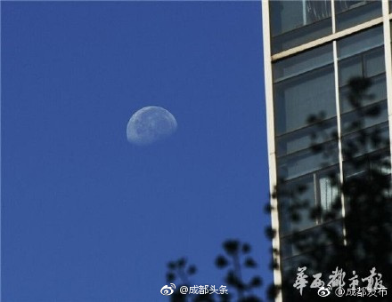 成人精品