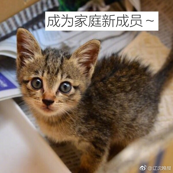 91精品国产自产91精品