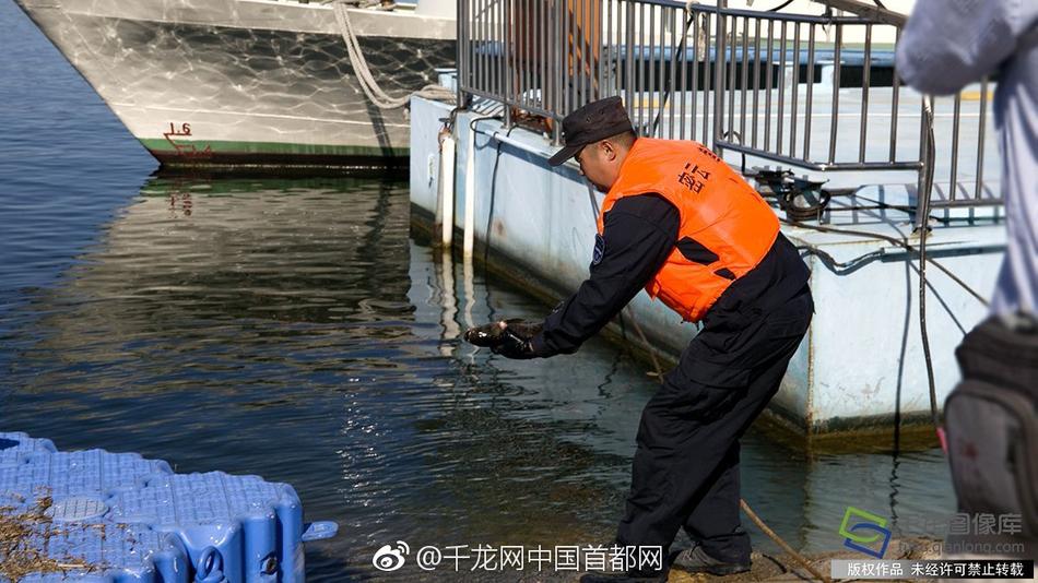 国产小u女发育末成年