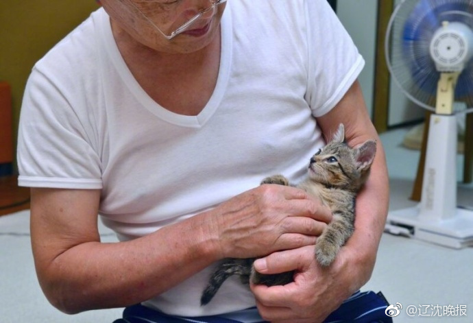纲手被操