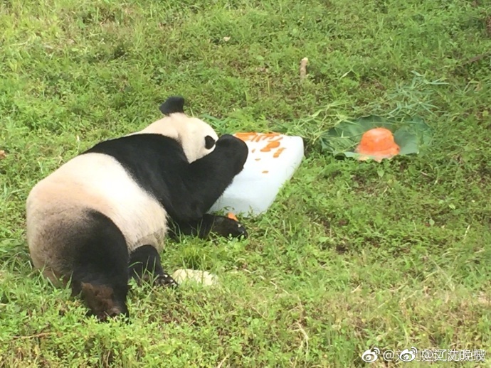 色情综合