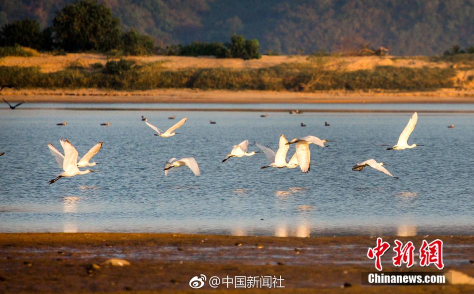 粉色苏州晶体i0S