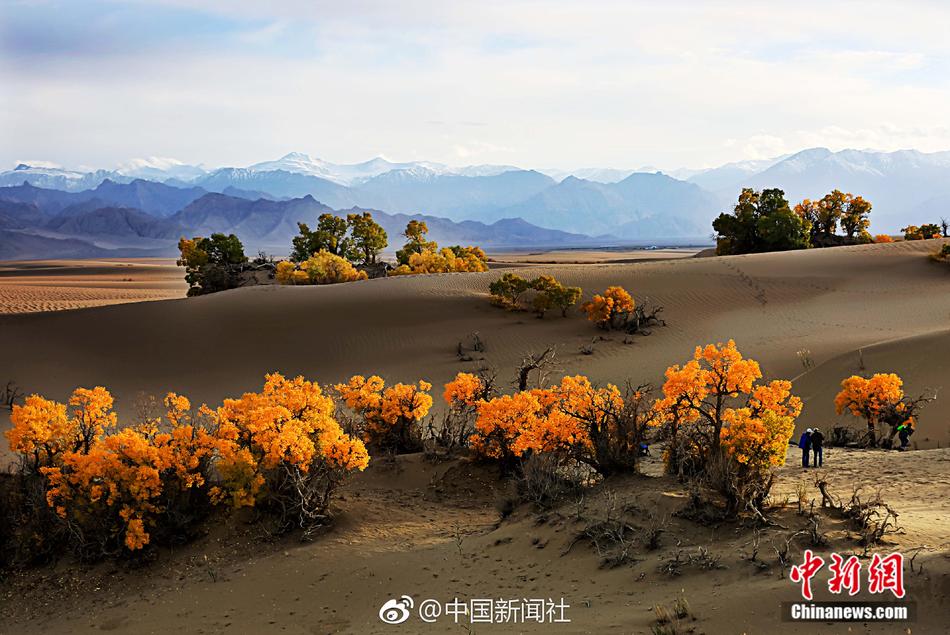 富婆性爱按摩Hd