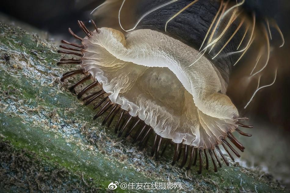 成人 性爱 教学