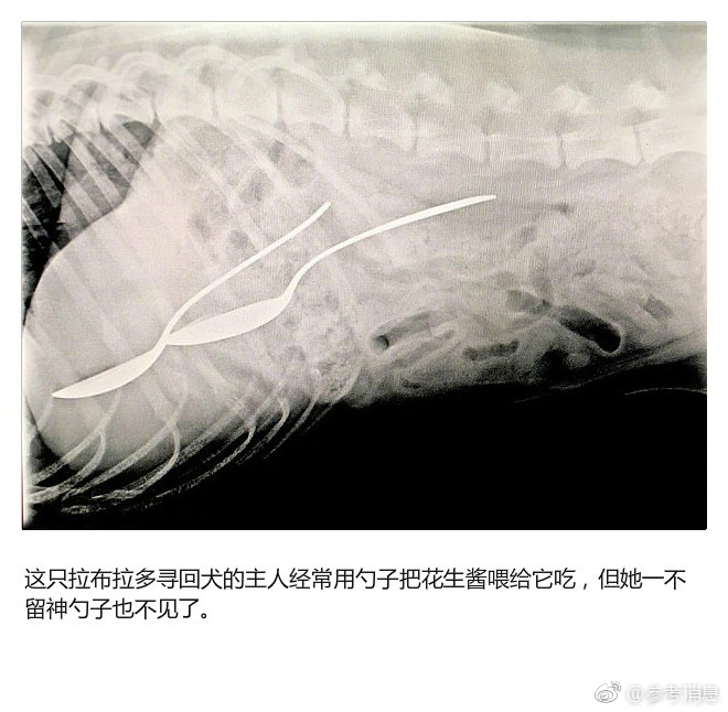 色黄视频