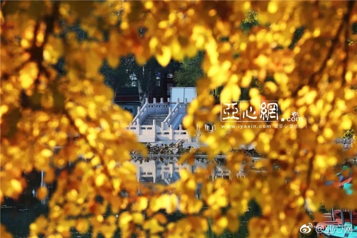 国产午夜福利电影