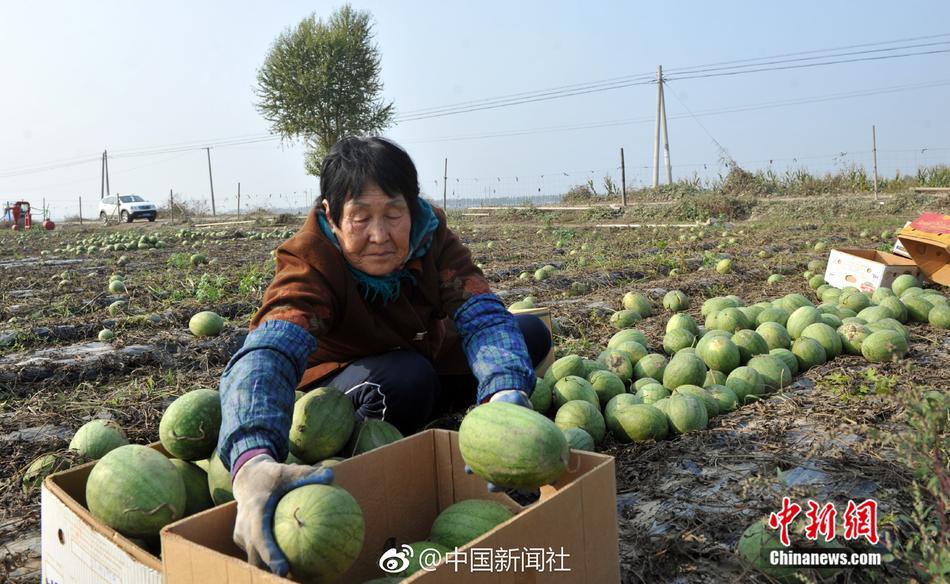 直昇機