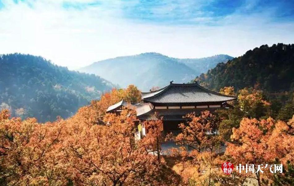 公妇公侵犯波多野结衣