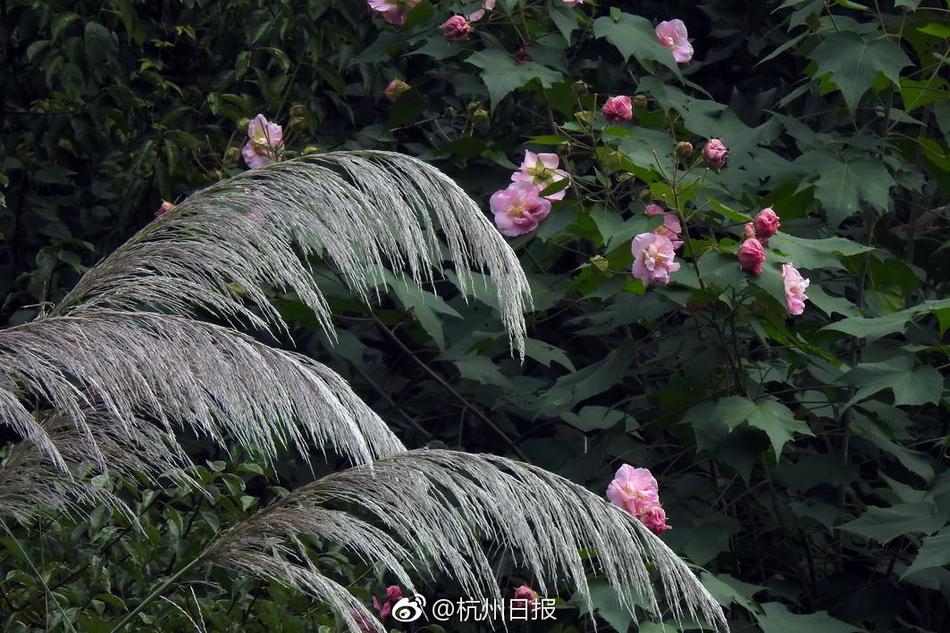国产高清乱伦性爱