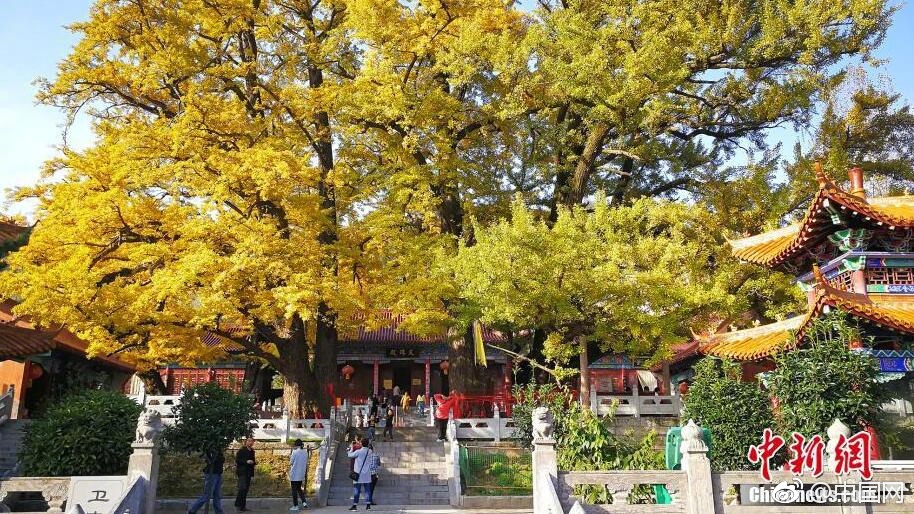 惩罚公主破解版免费游戏中文代码