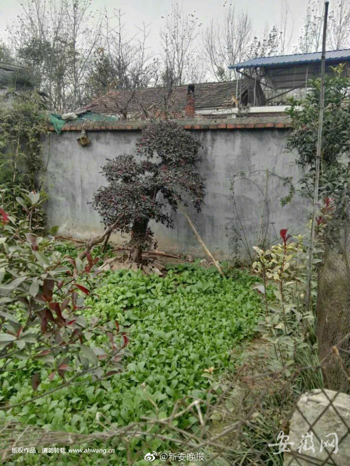 东京热app免费下载