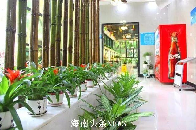 女明星大全黑料吃瓜