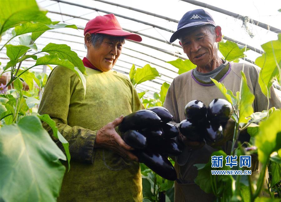 动漫扶她