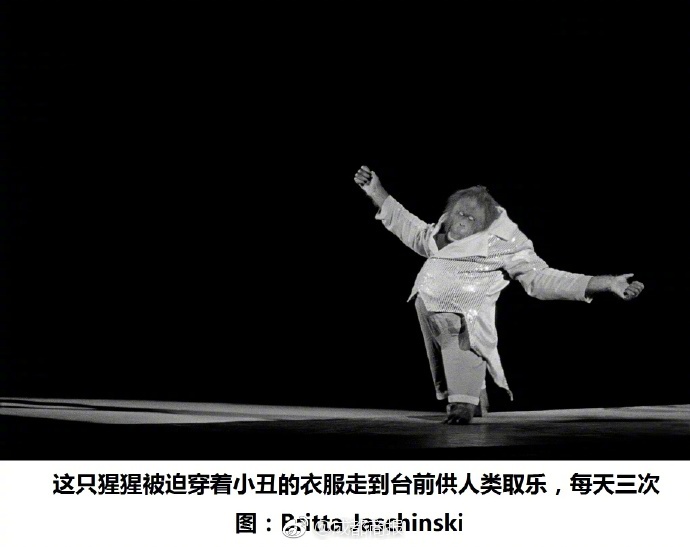 无碼黄色片在线观看