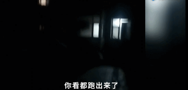 黄色高清无码
