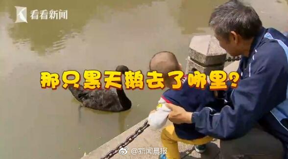 欧美性一区