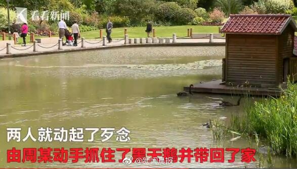 00粉嫩馒头学生一线天