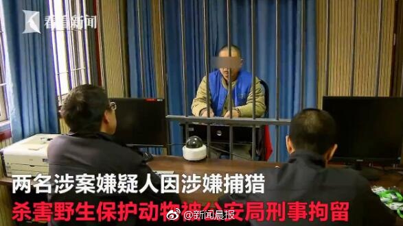 亂伦小说合集小说