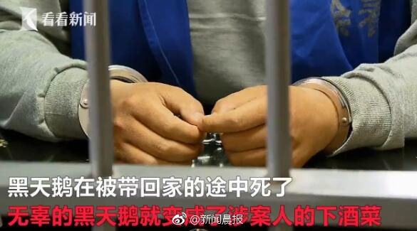 大陆三级孕交片