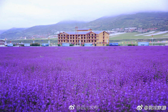免费观看超黄色视频