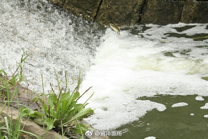 免费看国产三级黄色淫荡片