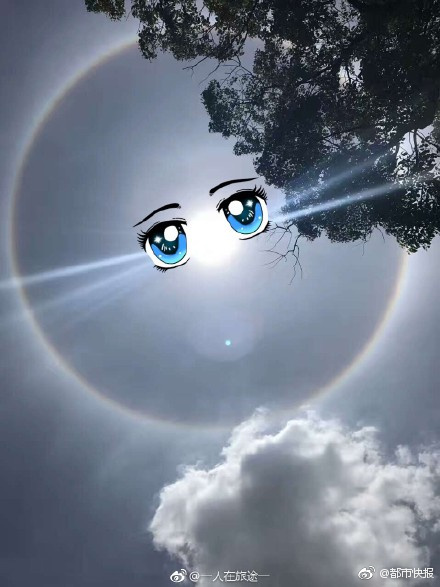 欧美三级黄色小说