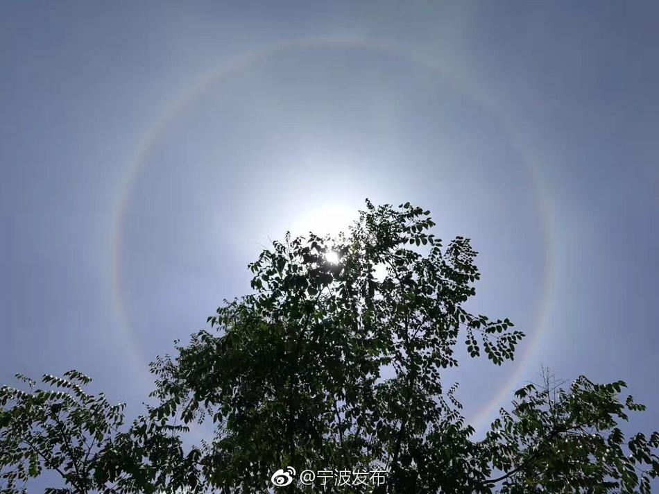国产男搓澡师男男GAy