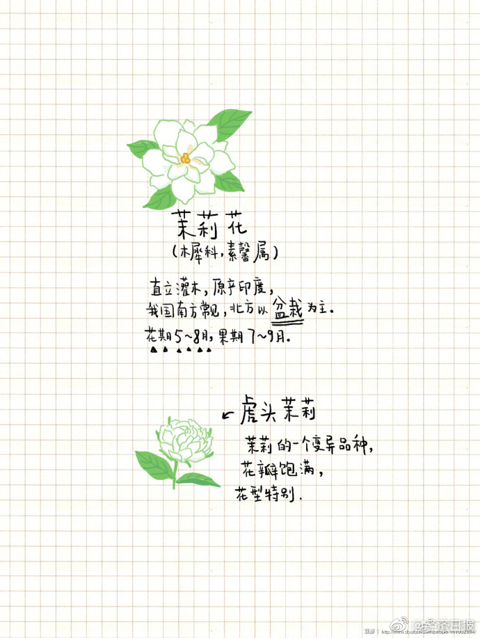 欧美 成人 直播 网站