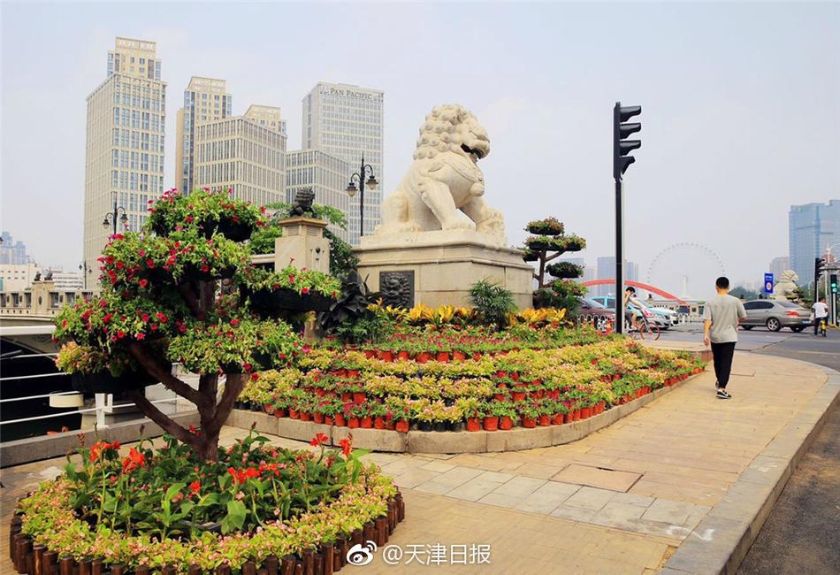 三级纯黄片