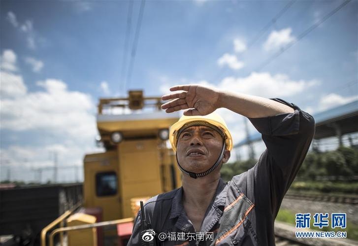 黄片在那里下载是免费看