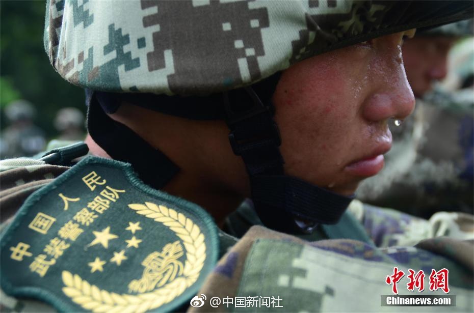亚洲三级网站