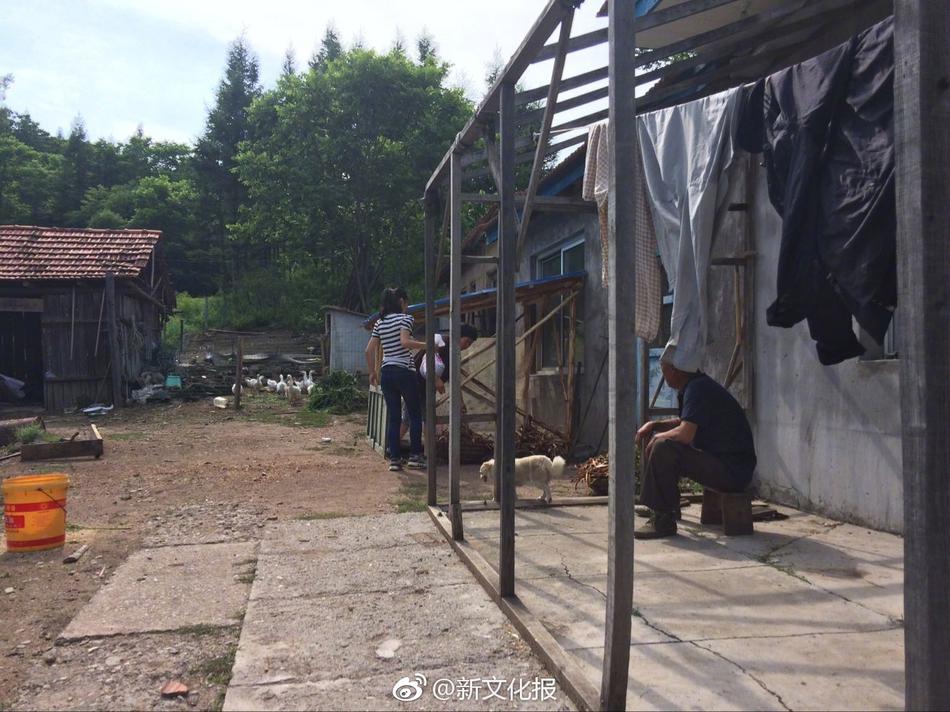 黄色免费网址视频