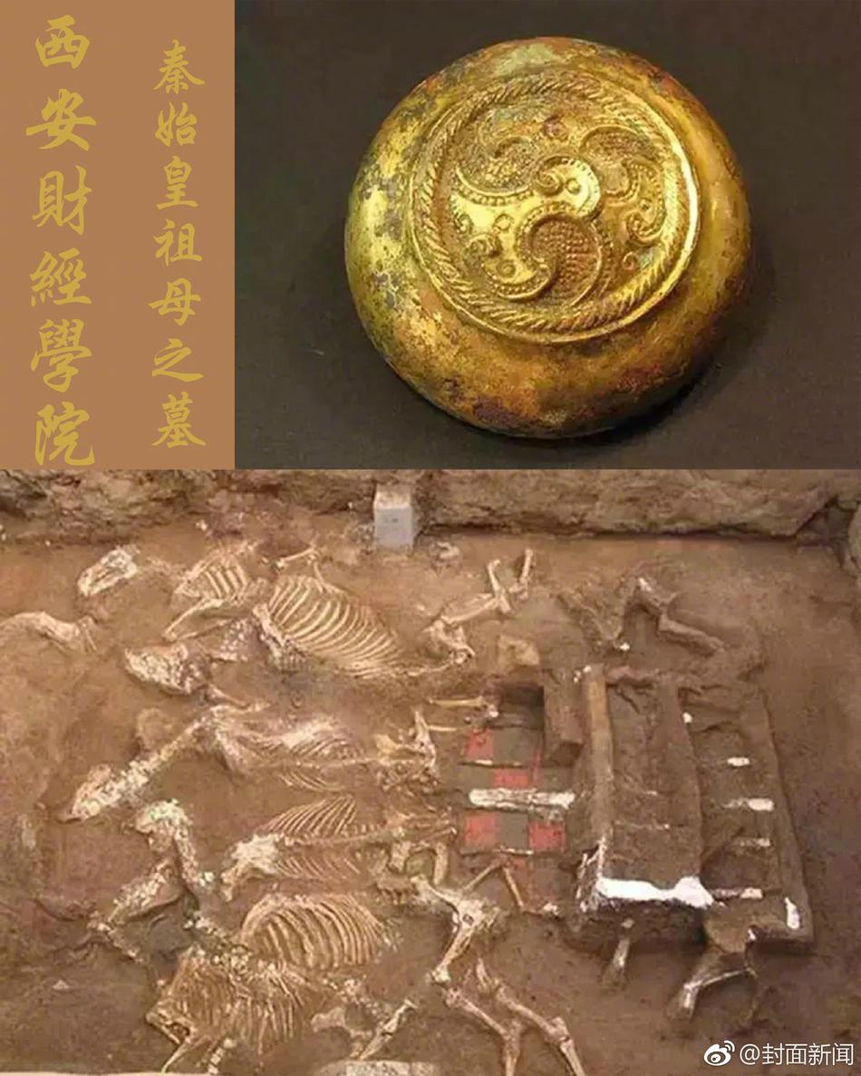 男女叉叉