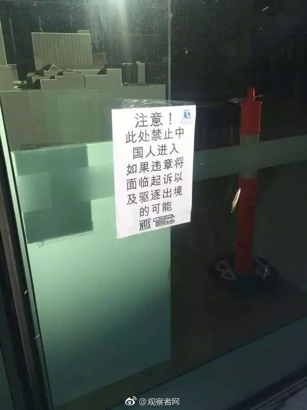 51抖音风反差婊弹力摇