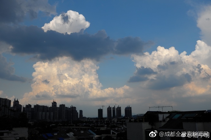 成人 网 战