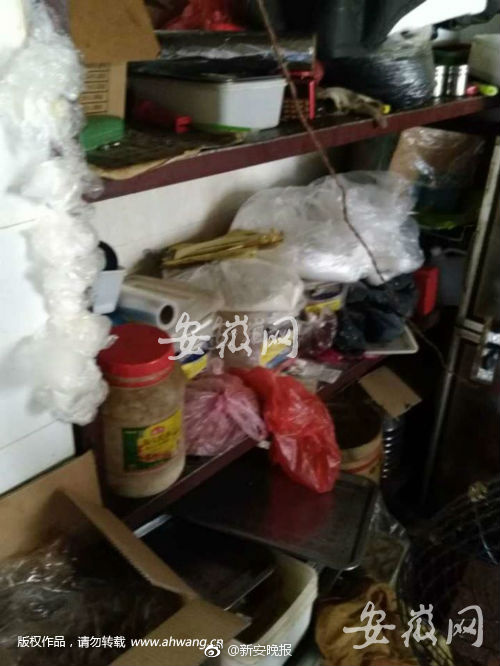 做受??高潮片