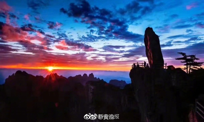 裸身免费黄色网站