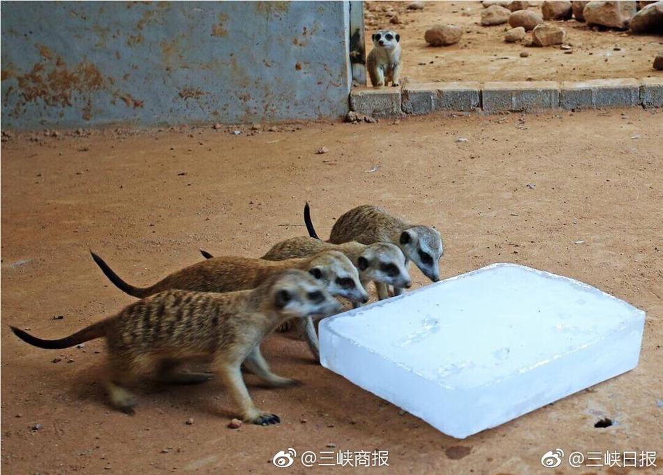 日欧三级片