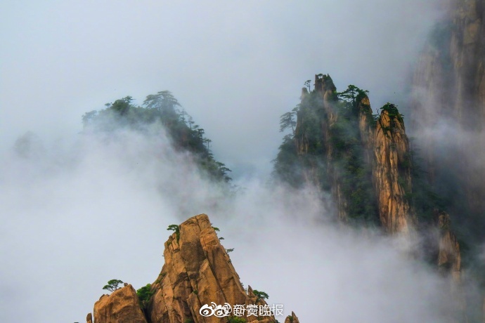 中国老年人操逼专区网