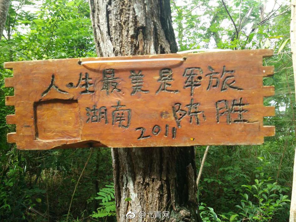 少妇被躁无码