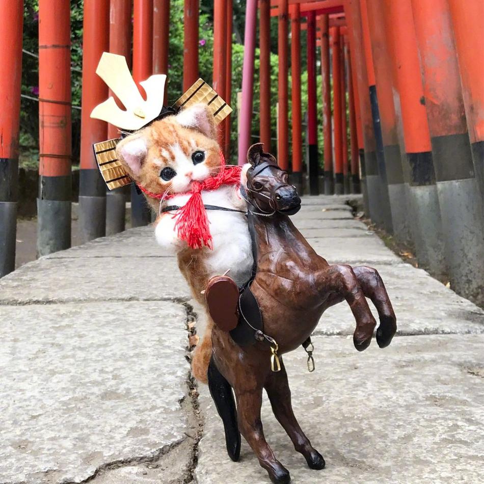 久久一级片