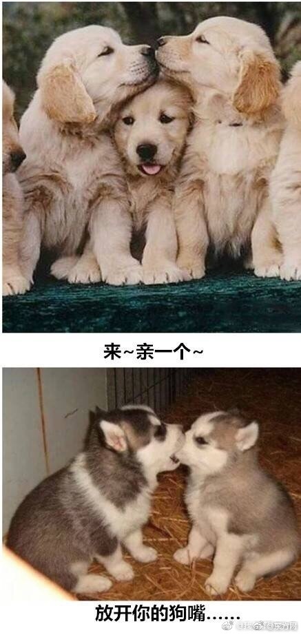 一级a性色生活片久久无