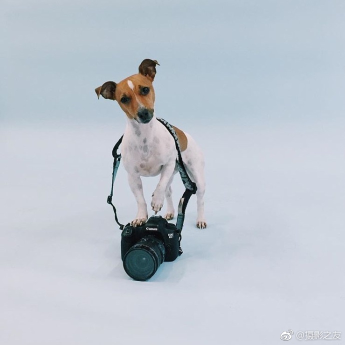 观看黄色网站在线观看黄色网站中文字幕免费