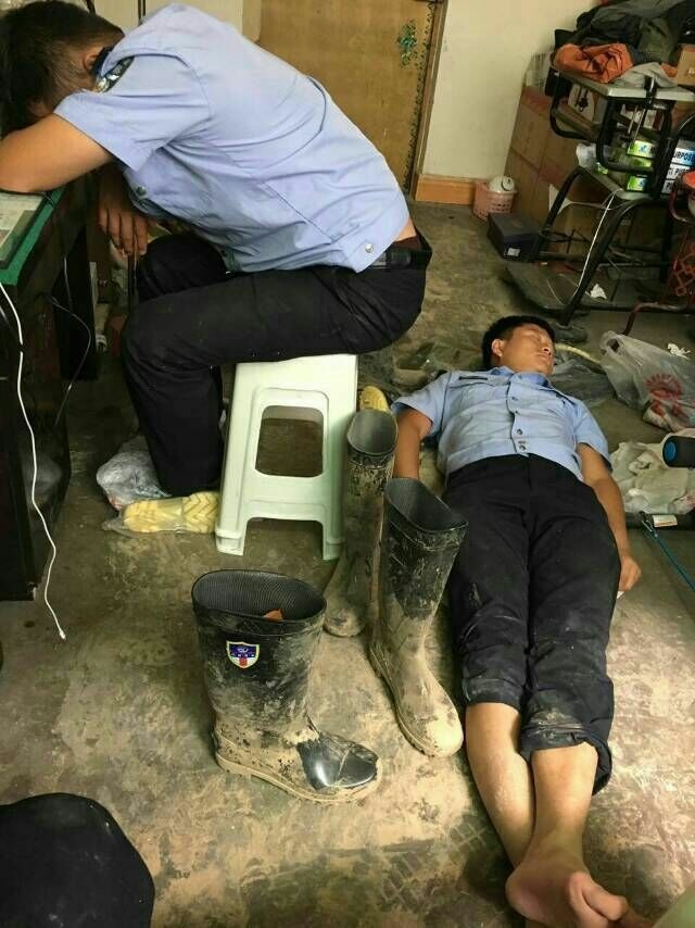 成,人一级在线