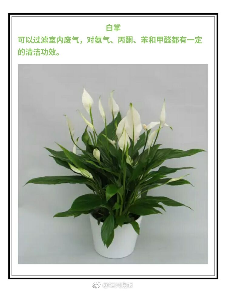欧美性Xxxx