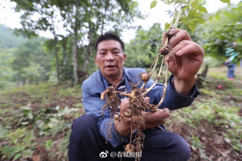 孕妇做爱色情